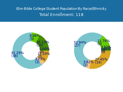 Elim Bible College 2025 Student Population by Gender and Race chart