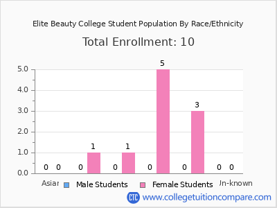Elite Beauty College 2025 Student Population by Gender and Race chart