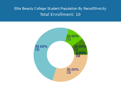 Elite Beauty College 2025 Student Population by Gender and Race chart