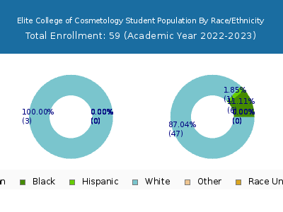 Elite College of Cosmetology 2023 Student Population by Gender and Race chart