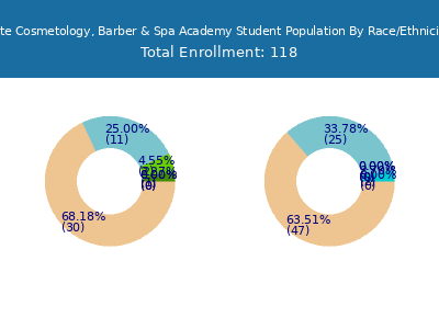 Elite Cosmetology, Barber & Spa Academy 2025 Student Population by Gender and Race chart