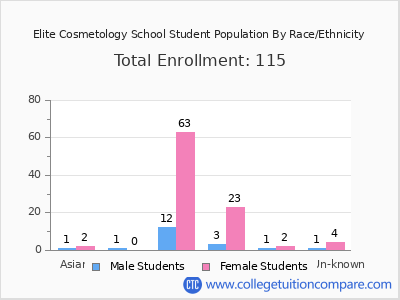 Elite Cosmetology School 2025 Student Population by Gender and Race chart