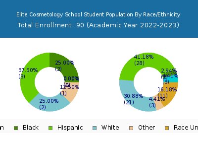 Elite Cosmetology School 2023 Student Population by Gender and Race chart