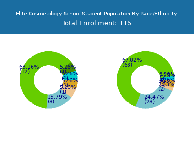 Elite Cosmetology School 2025 Student Population by Gender and Race chart