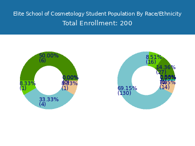 Elite School of Cosmetology 2025 Student Population by Gender and Race chart