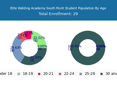 Elite Welding Academy South Point 2025 Student Population Age Diversity Pie chart