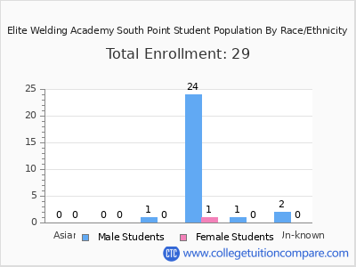 Elite Welding Academy South Point 2025 Student Population by Gender and Race chart