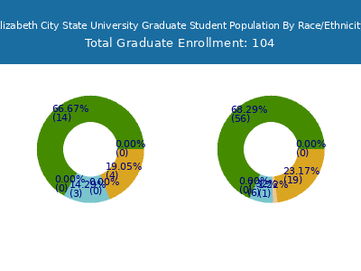Elizabeth City State University 2025 Graduate Enrollment by Gender and Race chart