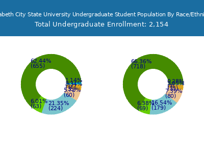 Elizabeth City State University 2025 Undergraduate Enrollment by Gender and Race chart