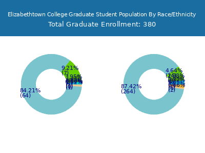 Elizabethtown College 2025 Graduate Enrollment by Gender and Race chart