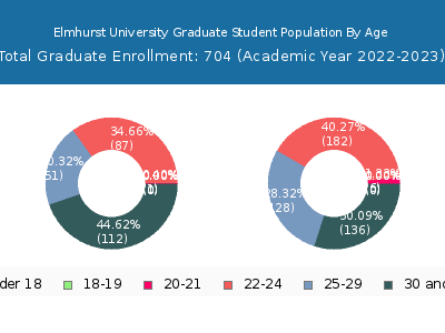 Elmhurst University 2023 Graduate Enrollment Age Diversity Pie chart