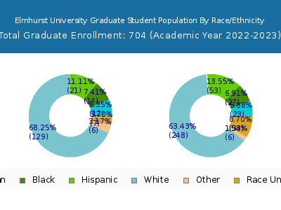 Elmhurst University 2023 Graduate Enrollment by Gender and Race chart