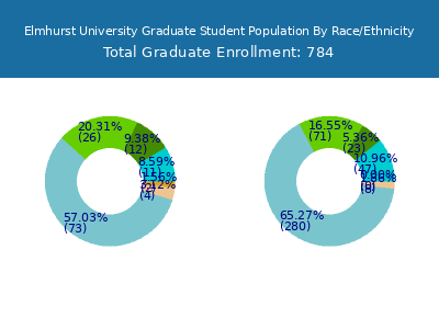 Elmhurst University 2025 Graduate Enrollment by Gender and Race chart