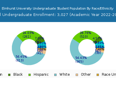 Elmhurst University 2023 Undergraduate Enrollment by Gender and Race chart