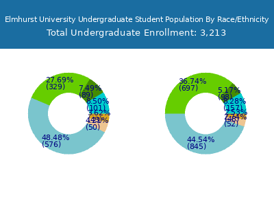 Elmhurst University 2025 Undergraduate Enrollment by Gender and Race chart
