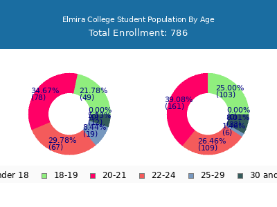 Elmira College 2024 Student Population Age Diversity Pie chart