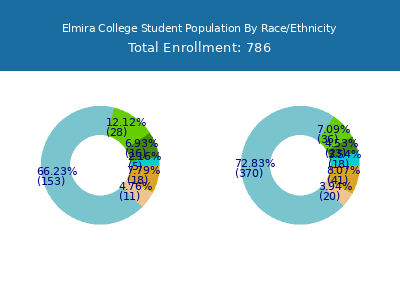 Elmira College 2025 Student Population by Gender and Race chart