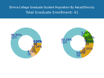 Elmira College 2025 Graduate Enrollment by Gender and Race chart