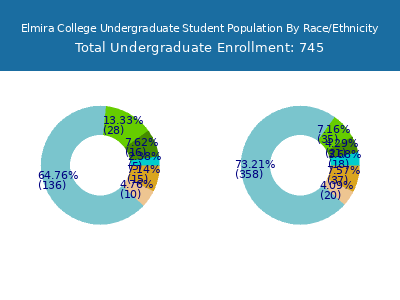 Elmira College 2025 Undergraduate Enrollment by Gender and Race chart