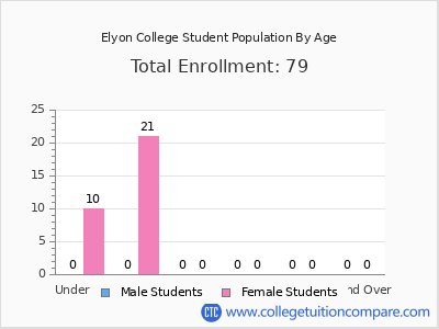 Elyon College 2024 Student Population by Age chart