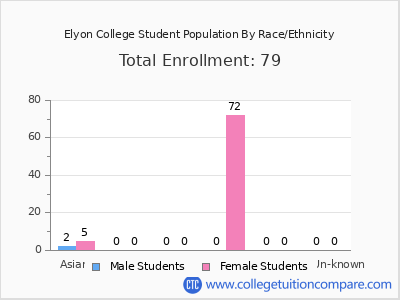 Elyon College 2025 Student Population by Gender and Race chart