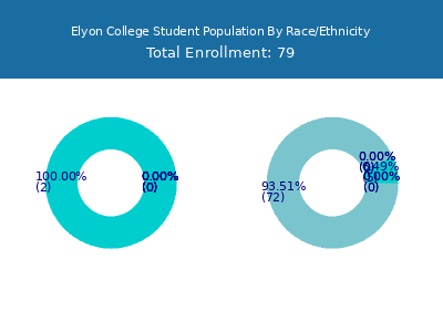Elyon College 2025 Student Population by Gender and Race chart