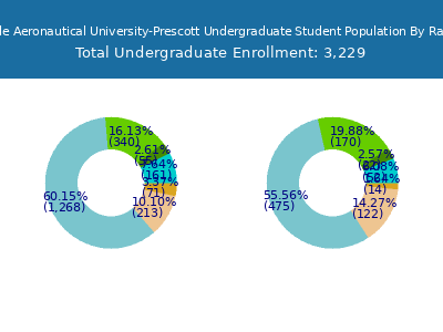 Embry-Riddle Aeronautical University-Prescott 2025 Undergraduate Enrollment by Gender and Race chart