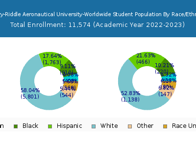Embry-Riddle Aeronautical University-Worldwide 2023 Student Population by Gender and Race chart