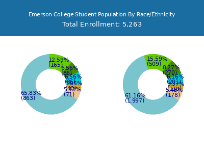 Emerson College 2025 Student Population by Gender and Race chart