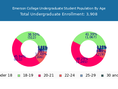 Emerson College 2025 Undergraduate Enrollment Age Diversity Pie chart