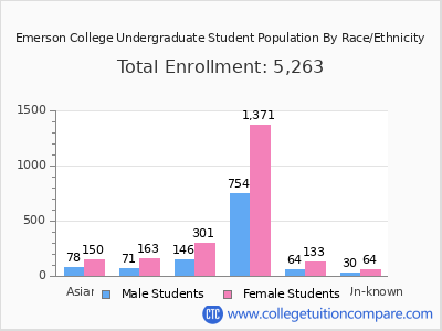 Emerson College 2025 Undergraduate Enrollment by Gender and Race chart