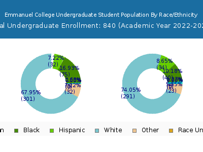 Emmanuel College 2023 Undergraduate Enrollment by Gender and Race chart