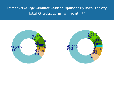 Emmanuel College 2025 Graduate Enrollment by Gender and Race chart