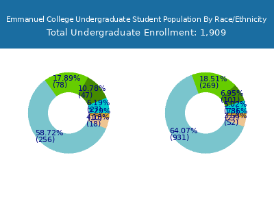 Emmanuel College 2025 Undergraduate Enrollment by Gender and Race chart