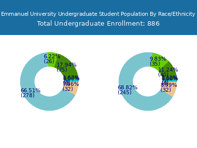 Emmanuel University 2025 Undergraduate Enrollment by Gender and Race chart