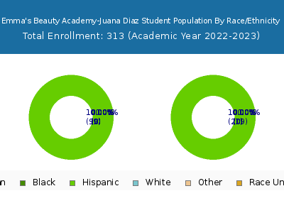 Emma's Beauty Academy-Juana Diaz 2023 Student Population by Gender and Race chart