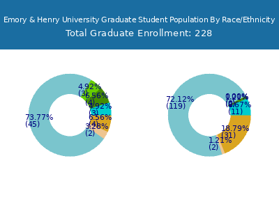 Emory & Henry University 2025 Graduate Enrollment by Gender and Race chart
