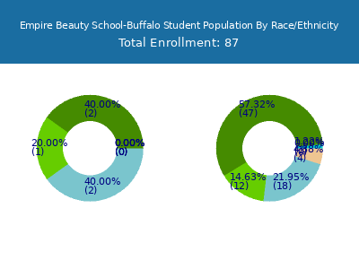 Empire Beauty School-Buffalo 2025 Student Population by Gender and Race chart