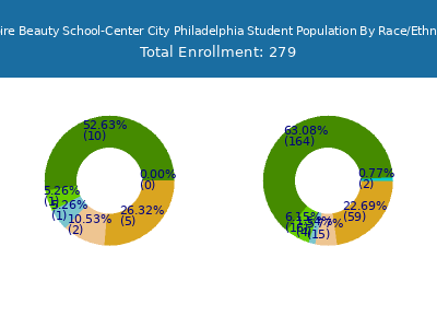 Empire Beauty School-Center City Philadelphia 2025 Student Population by Gender and Race chart
