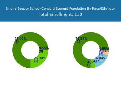Empire Beauty School-Concord 2025 Student Population by Gender and Race chart