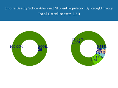 Empire Beauty School-Gwinnett 2025 Student Population by Gender and Race chart