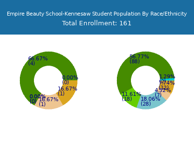 Empire Beauty School-Kennesaw 2025 Student Population by Gender and Race chart