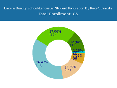 Empire Beauty School-Lancaster 2025 Student Population by Gender and Race chart
