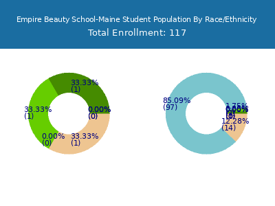Empire Beauty School-Maine 2025 Student Population by Gender and Race chart