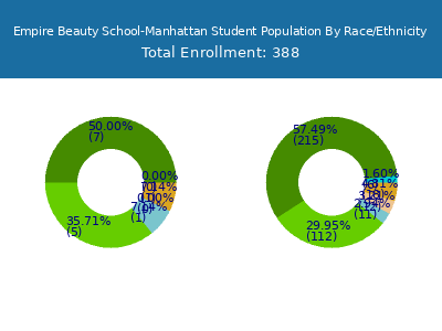 Empire Beauty School-Manhattan 2025 Student Population by Gender and Race chart