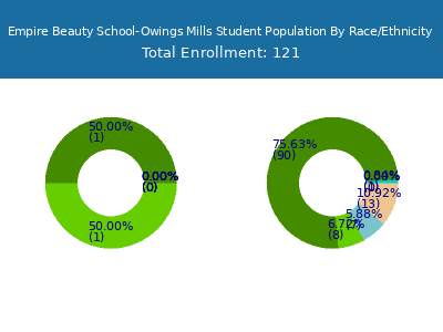Empire Beauty School-Owings Mills 2025 Student Population by Gender and Race chart
