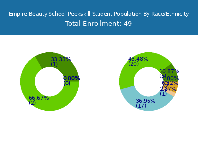 Empire Beauty School-Peekskill 2025 Student Population by Gender and Race chart