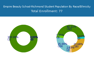 Empire Beauty School-Richmond 2025 Student Population by Gender and Race chart