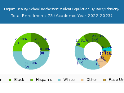 Empire Beauty School-Rochester 2023 Student Population by Gender and Race chart