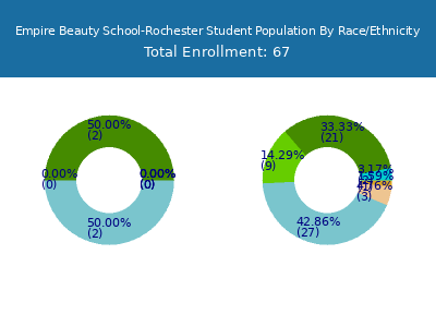 Empire Beauty School-Rochester 2025 Student Population by Gender and Race chart